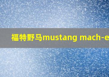 福特野马mustang mach-e黑色